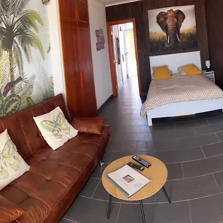 Sea View Arenas 815 Naturist Fkk Lgbt Apartment Maspalomas (Gran Canaria)